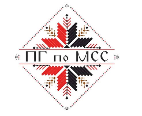 ПГ по МСС